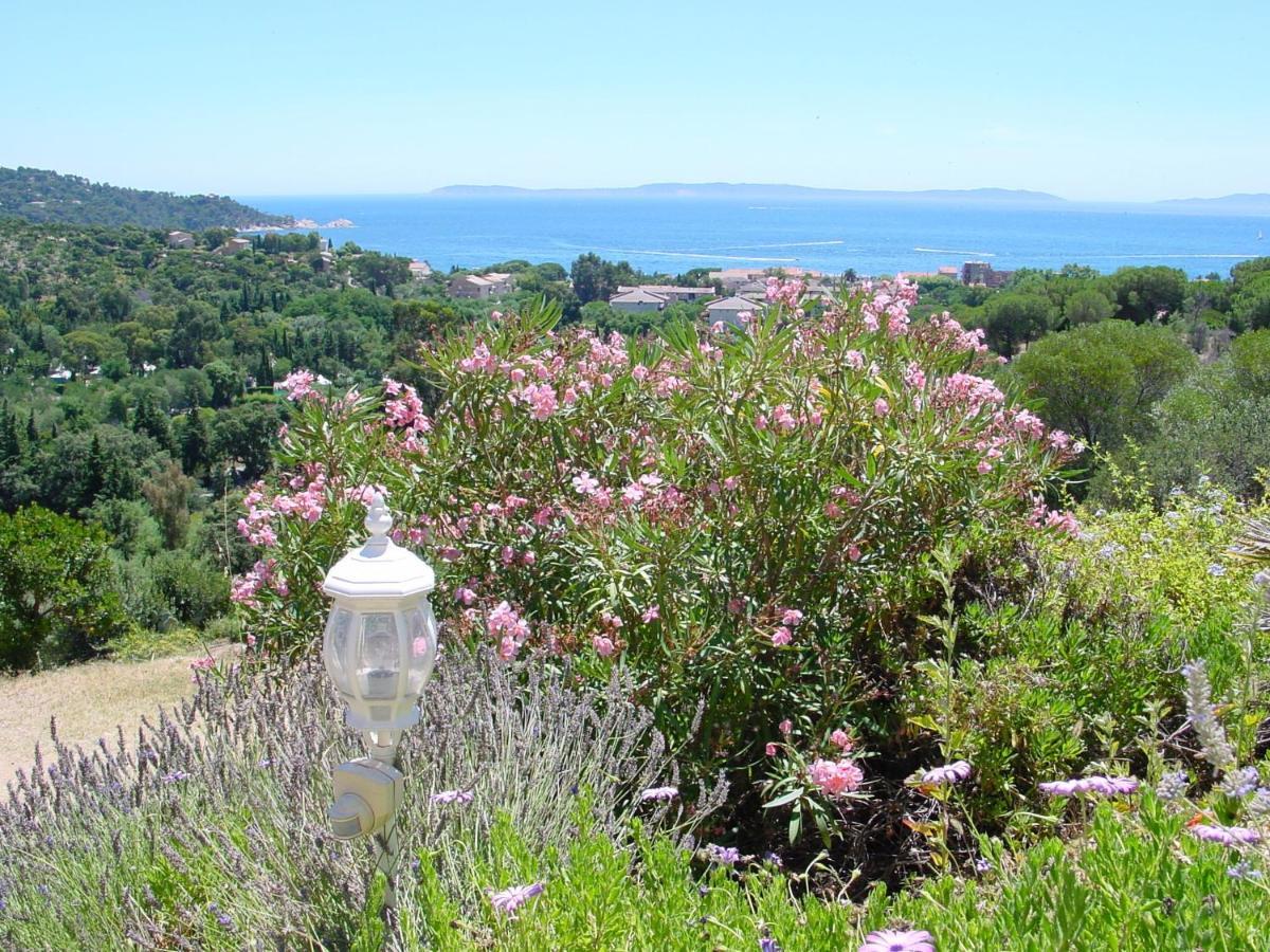 Azur Hotel Le Lavandou Dış mekan fotoğraf