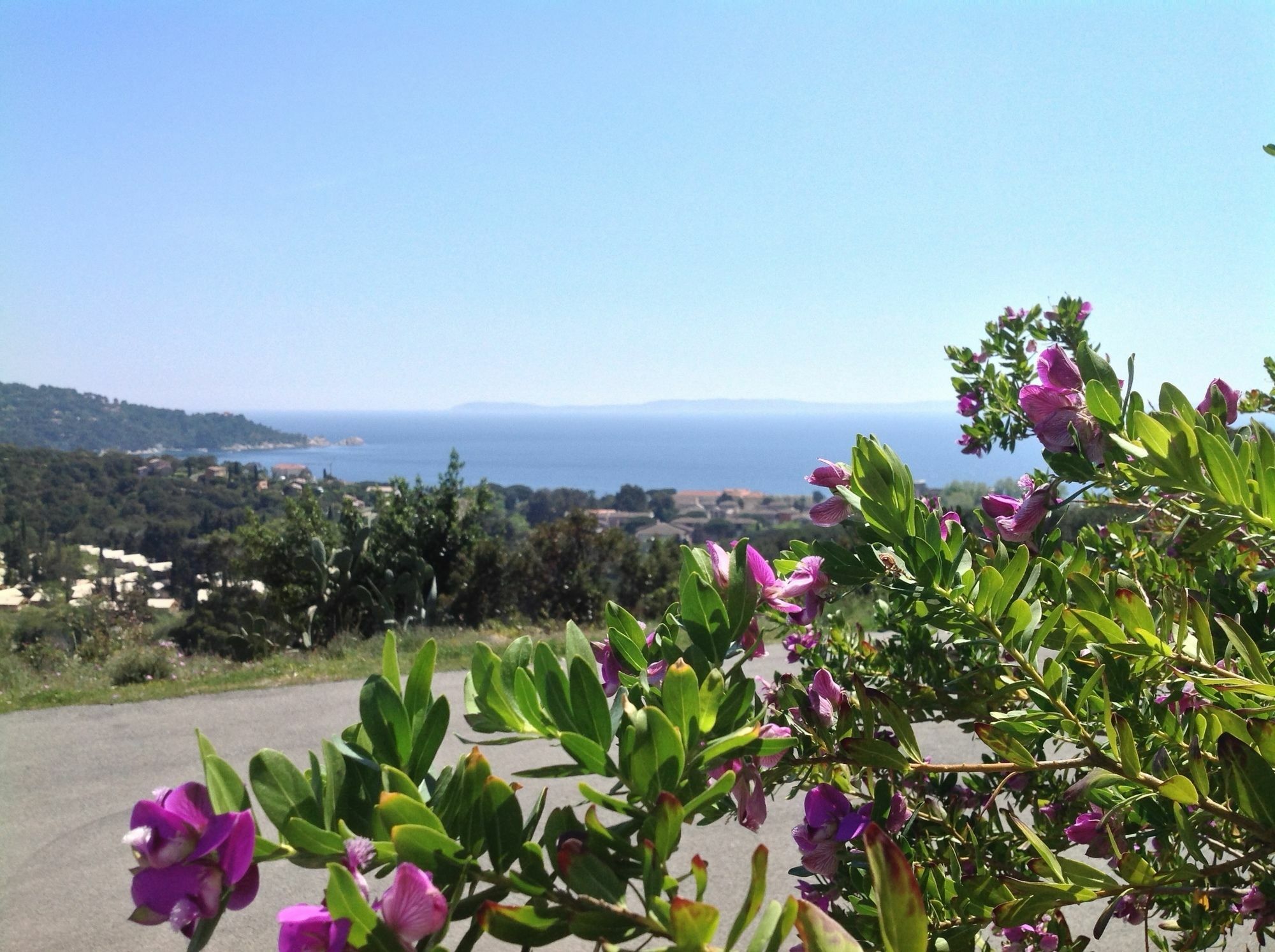 Azur Hotel Le Lavandou Dış mekan fotoğraf