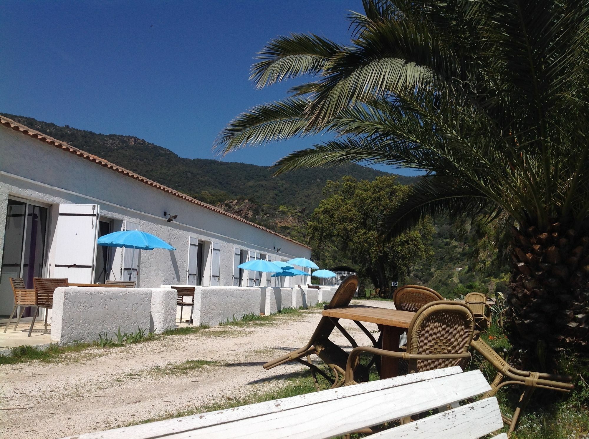 Azur Hotel Le Lavandou Dış mekan fotoğraf