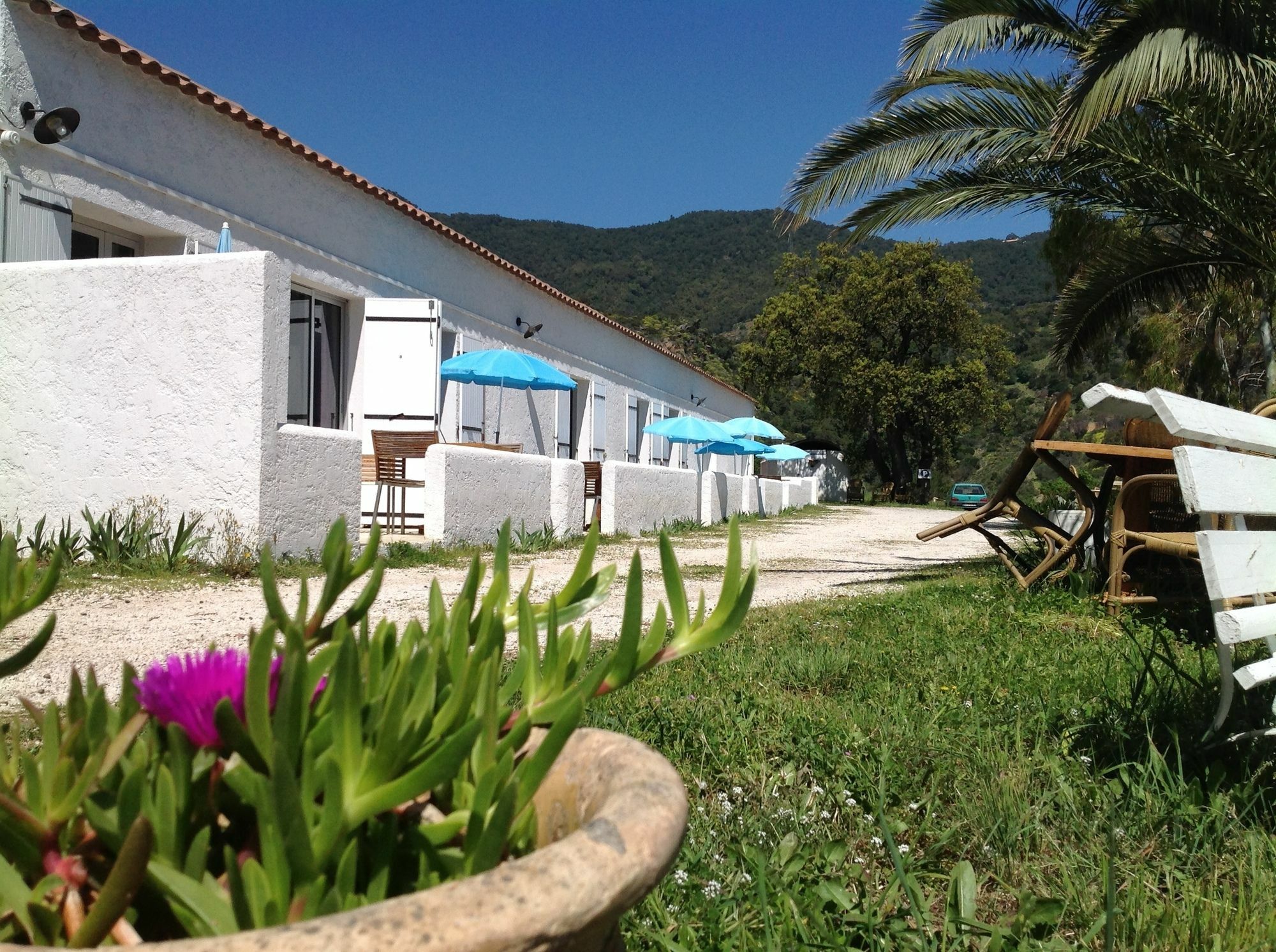 Azur Hotel Le Lavandou Dış mekan fotoğraf