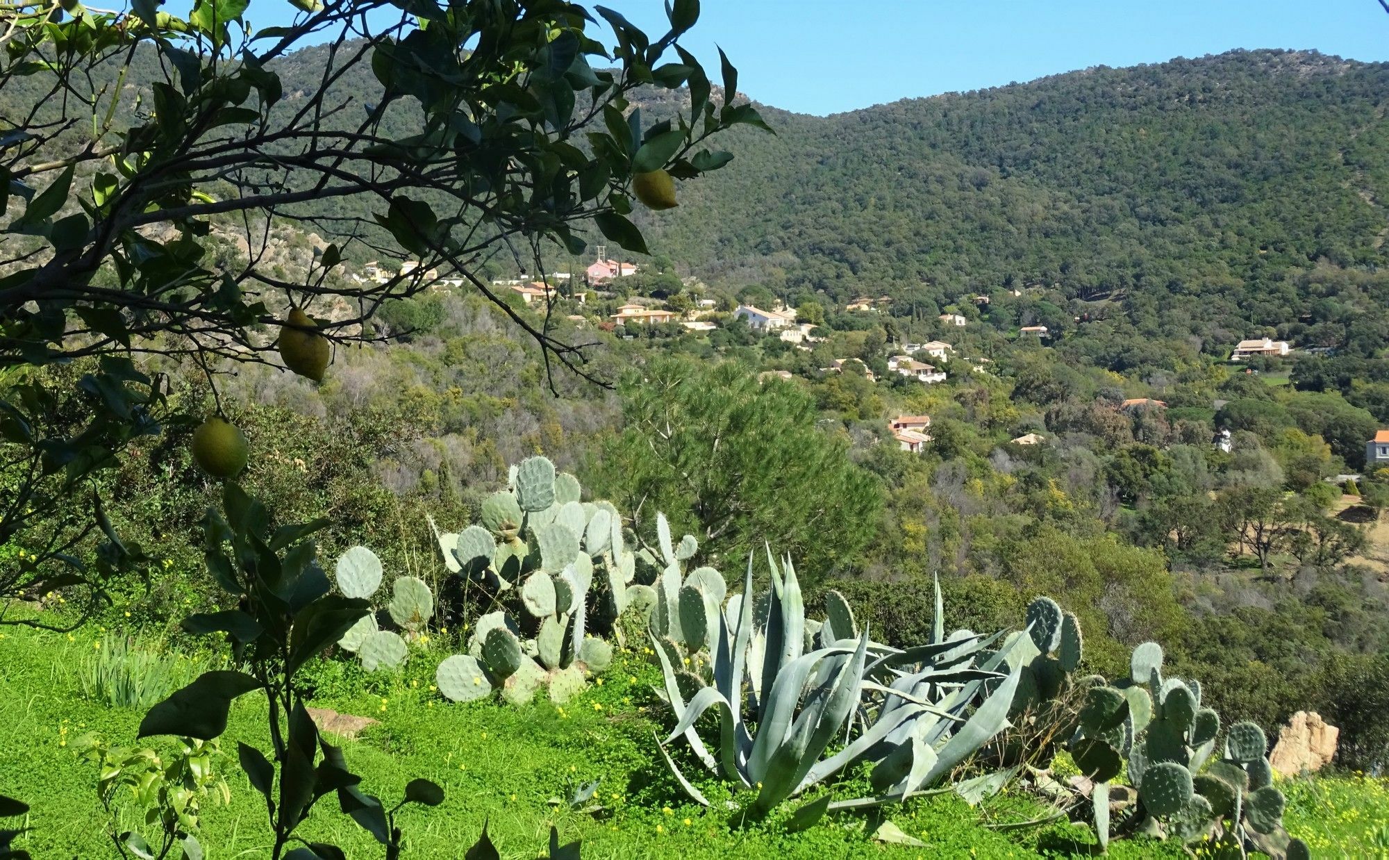 Azur Hotel Le Lavandou Dış mekan fotoğraf